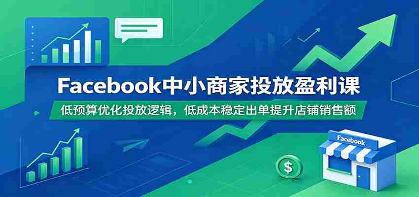 Facebook中小商家投放盈利课：低预算优化投放逻辑，低成本稳定出单提升店铺销售额-一起发