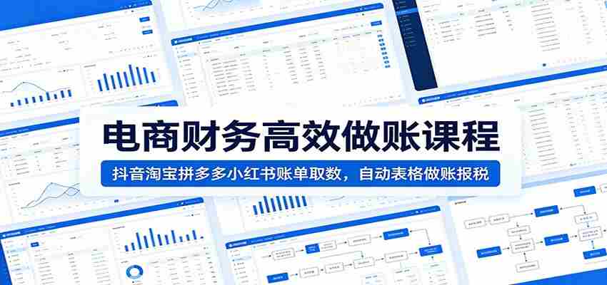 电商财务高效做账课程：抖音淘宝拼多多小红书账单取数，自动表格做账报税-一起发
