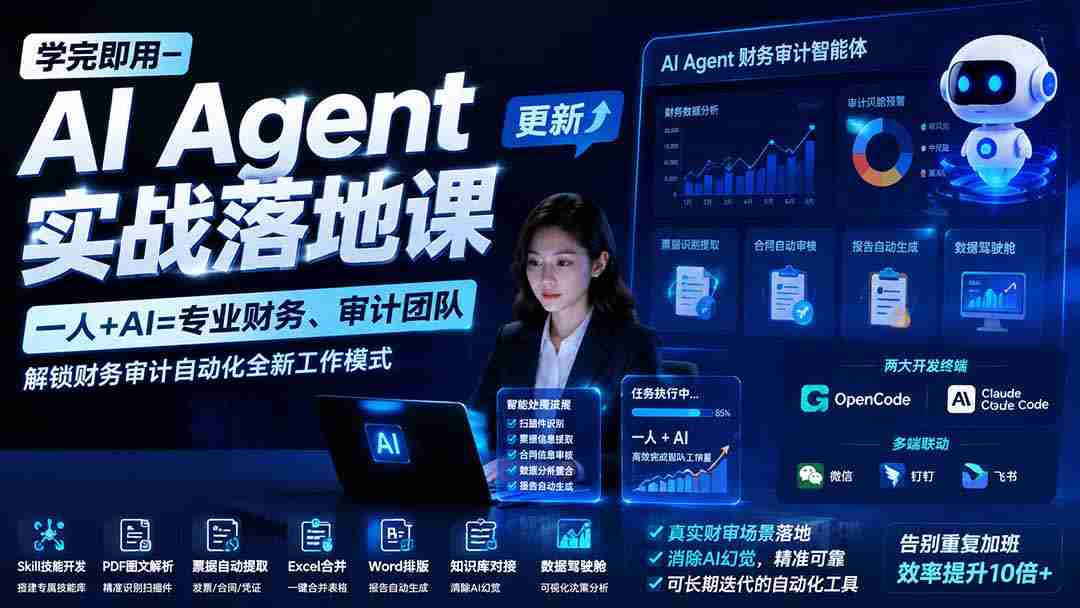 （19702期）学完即用—AI Agent实战落地课-更新：一人+AI=专业财务、审计团队，解锁财务审计自动化全新工作模式-一起发
