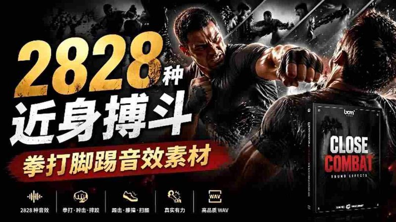 (19072期)宝藏级别音效!2828种近身搏斗拳打脚踢音效素材,全部中文分类,免解压使用 Close Combat-一起发