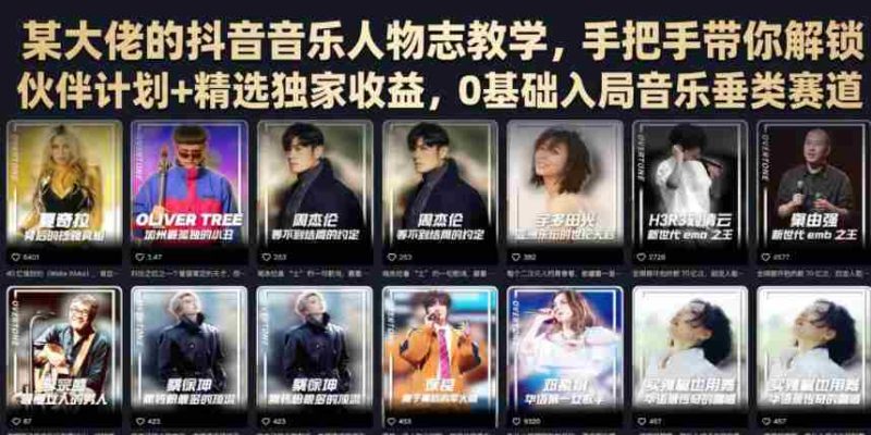 某大佬的抖音音乐人物志教学,手把手带你解锁伙伴计划+精选独家收益,0基础入局音乐垂类赛道-一起发
