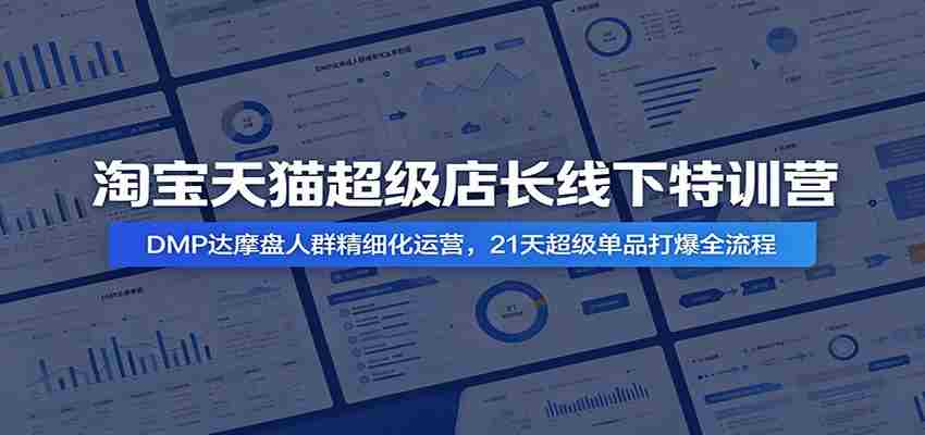 淘宝天猫超级店长线下特训营：DMP达摩盘人群精细化运营，21天超级单品打爆全流程-一起发